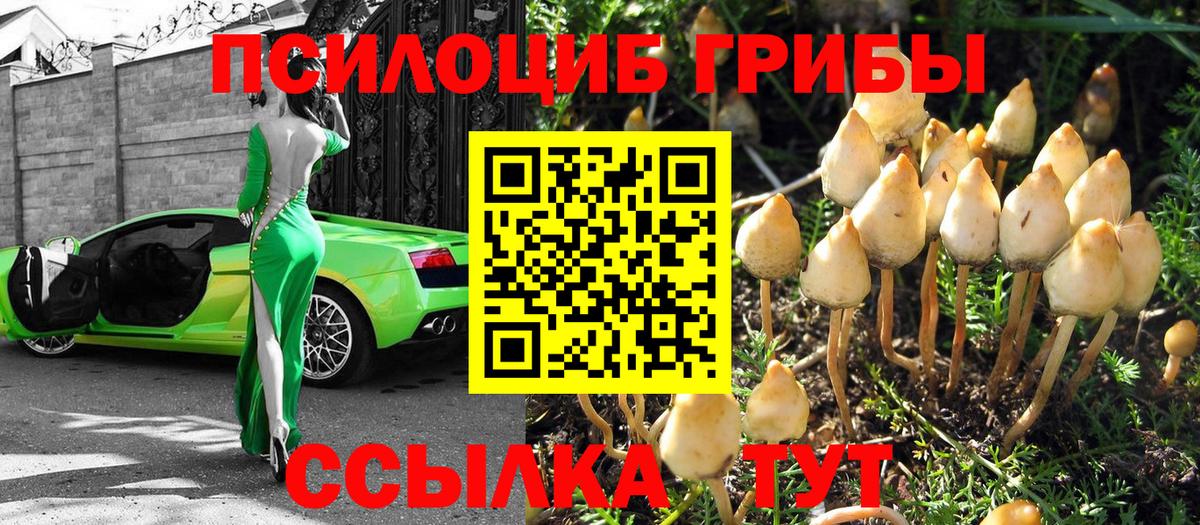 что такое   Псилоцибиновые грибы Cubensis  Вход с VPN  Лысьва 