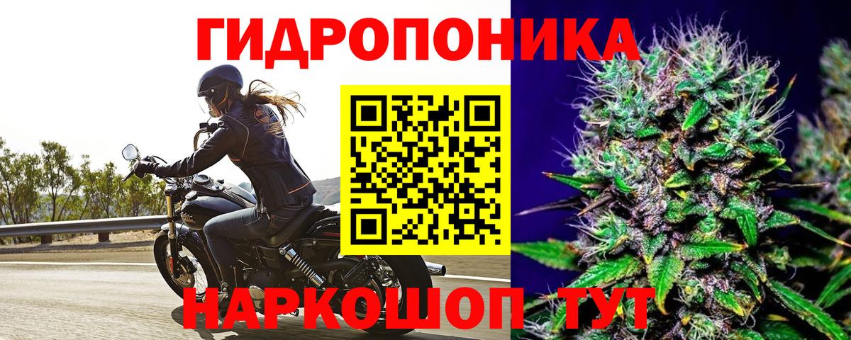 Лысьва  Бошки Шишки VHQ  Бошки марихуана OG Kush  Бошки Шишки тримм  Вход с VPN  Бошки Шишки Bruce Banner 